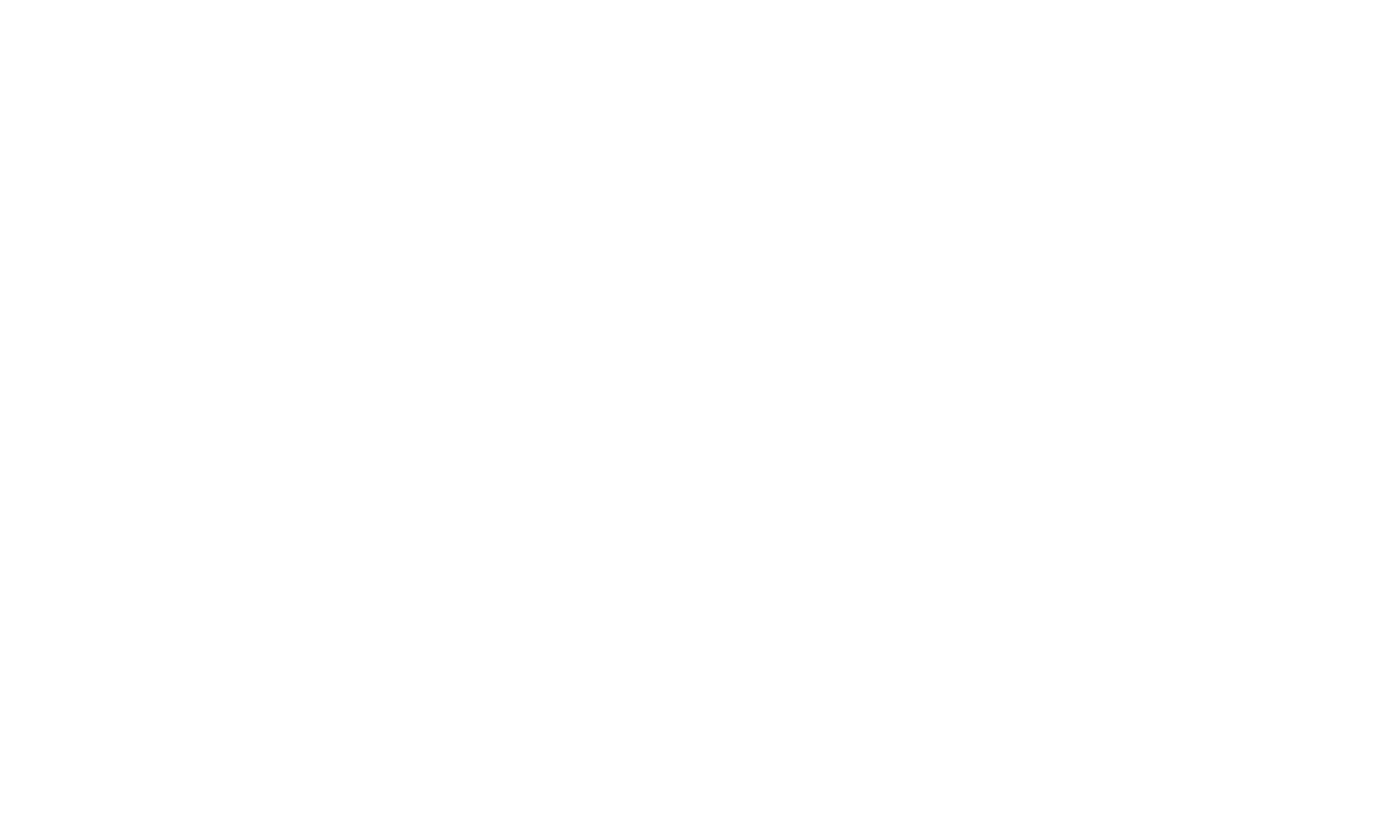 Chatronex Logo